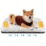 Small dog lying on the self-warming pet mat