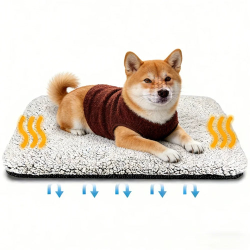 Small dog lying on the self-warming pet mat